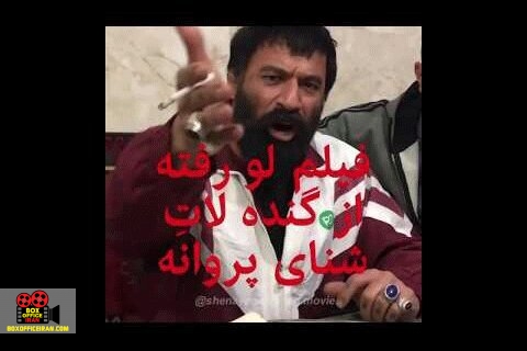 جشنواره فیلم فجر