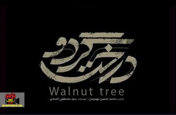 جشنواره فیلم فجر