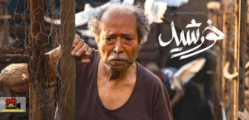 جشنواره فیلم فجر