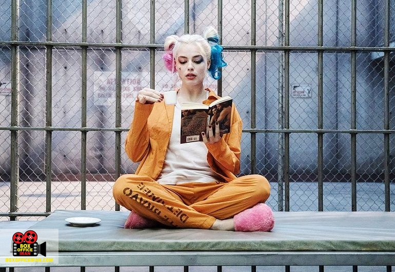 پرندگان شکاری