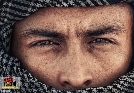 جشنواره فیلم فجر