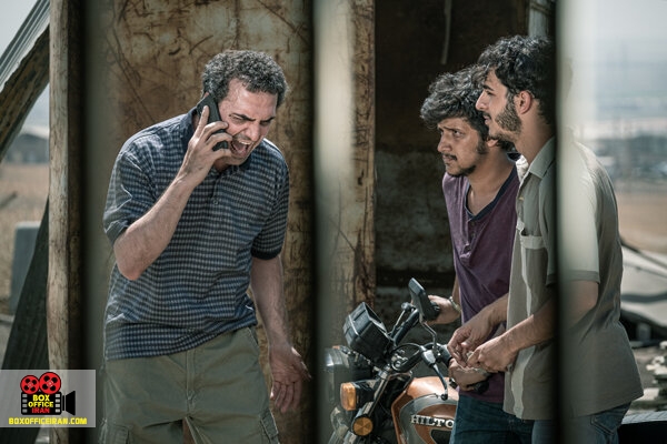 برادران محمودی