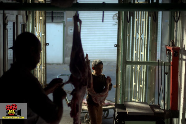 امیر روئینی