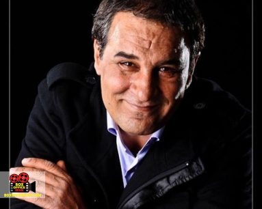 شیرهای جوان