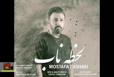 مصطفی پاشایی