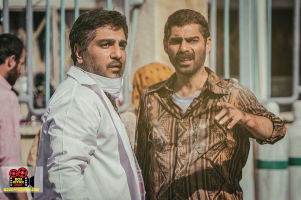 سازمان سینمایی