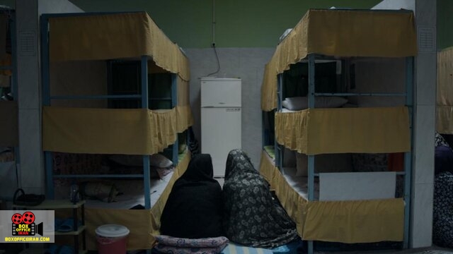 سایههای بیخورشید