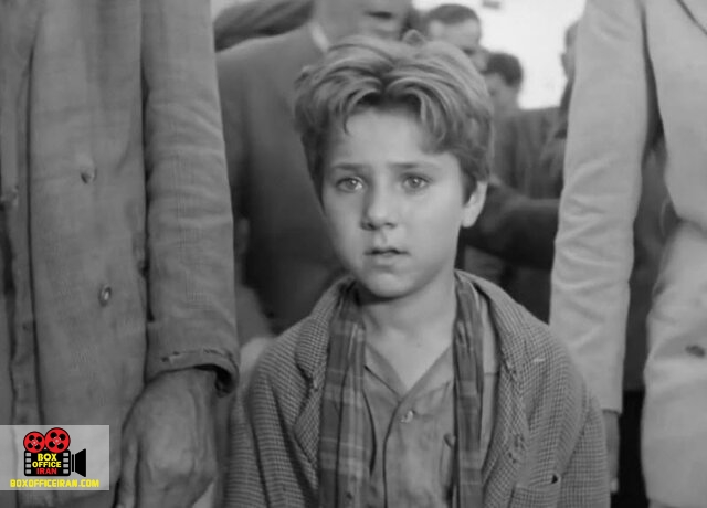 محسن بهرامی