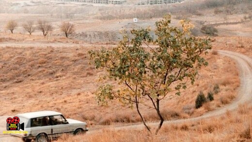 عباس کیارستمی