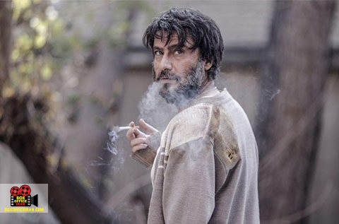 علی ابراهیمی