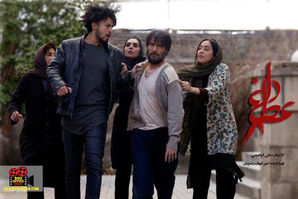 علی ابراهیمی