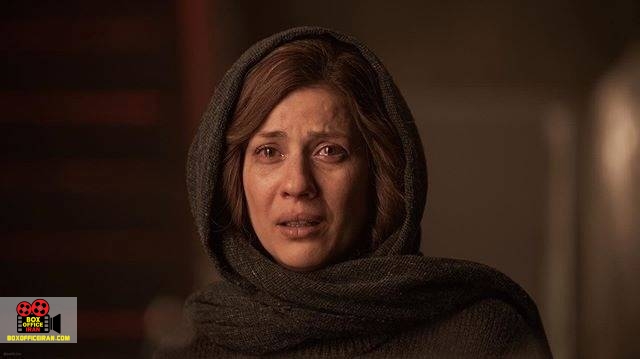 مرتضی شایسته