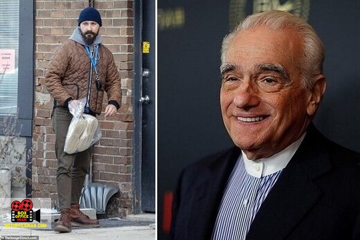 تکههایی از یک زن