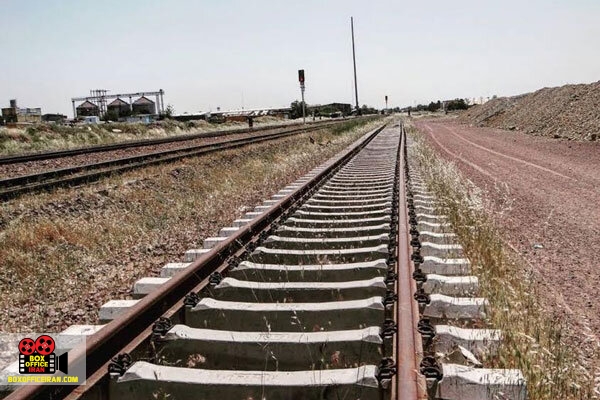 مهدی شادی زاده