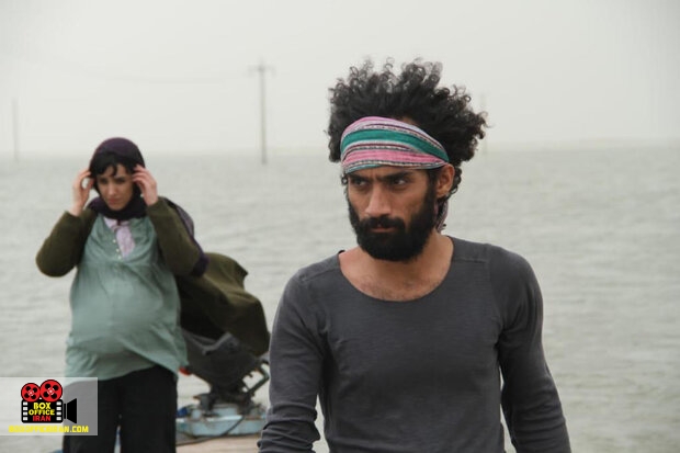 جشنواره فیلم میل ولی