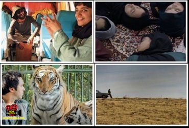 نمایش