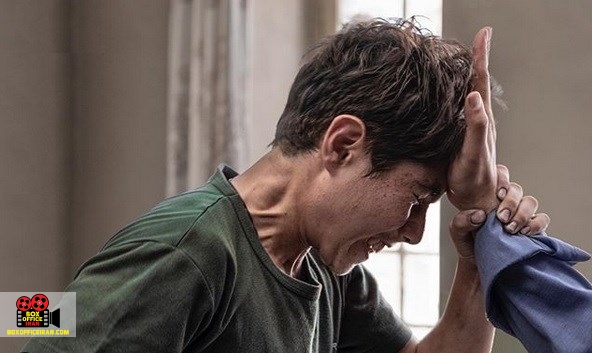 منتقدان سینمای جهان