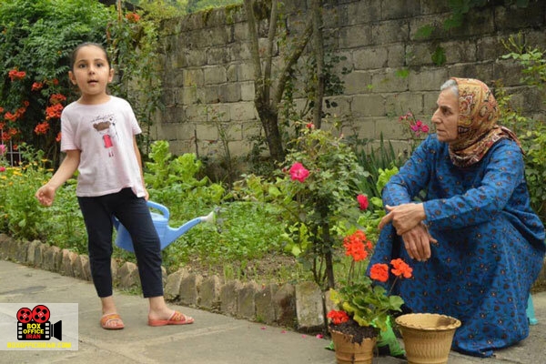 جشنواره بینالمللی سینه کید