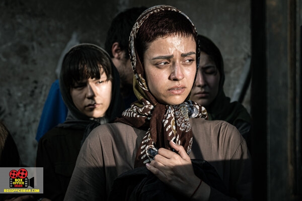 نوید محمودی