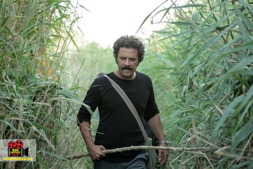 تصویربرداری