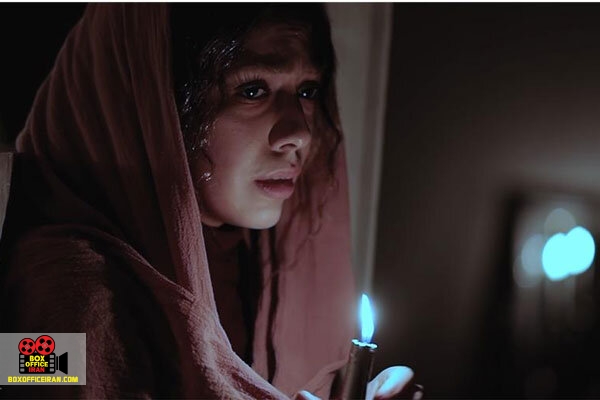 شاهین رشیدی