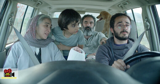 پناه پناهی
