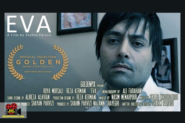 شاهین پرویزی