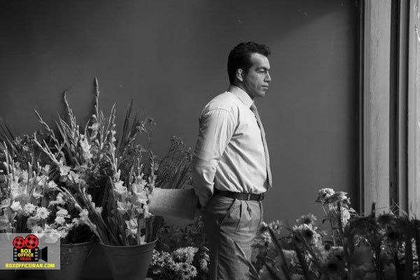 جشنواره فیلمهای آسیایی بارسلون