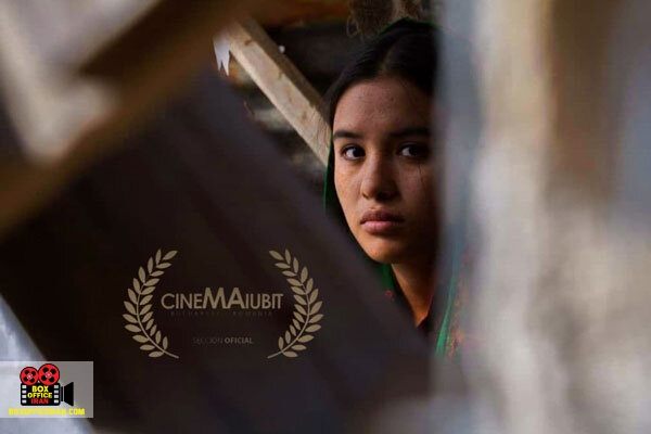 فاطمه محمدی