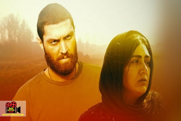 جشنواره مانهایم