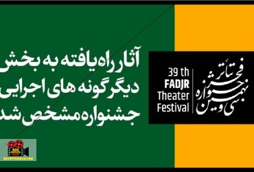دیگرگونههای اجرایی