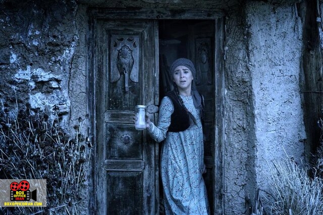 ارسلان امیری