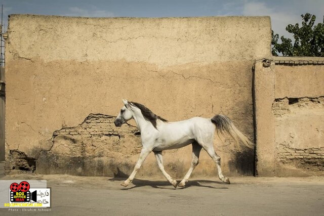 در جستجوی خانه خورشید