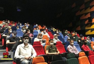 درخت گردو