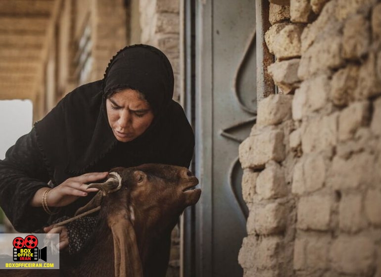 کانون پرورش فکری