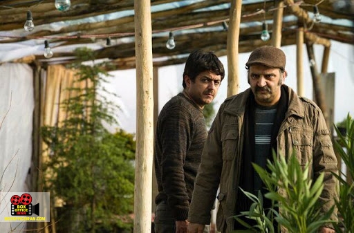 تصویربرداری