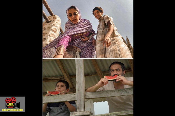 افشین هاشمی