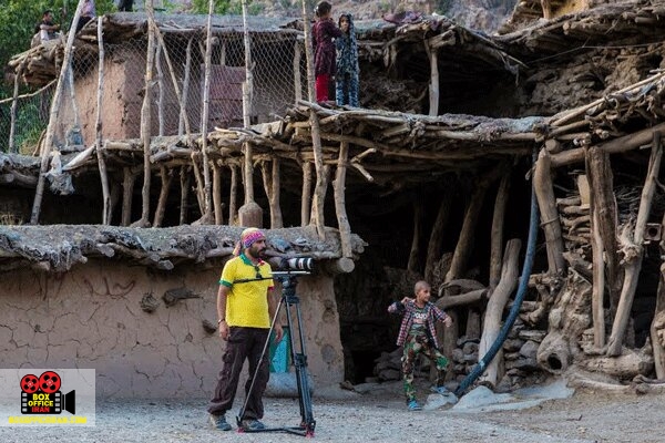 محمود کاملی