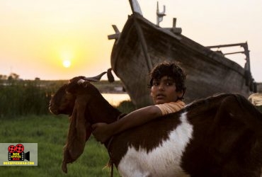 محمدرضا مصباح