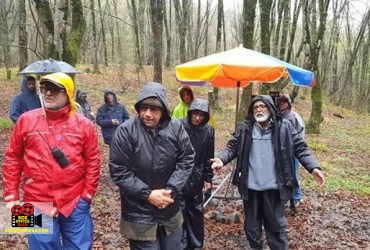 بهروز افخمی