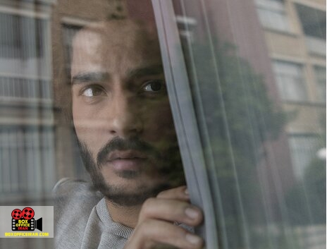 سازمان سینمایی