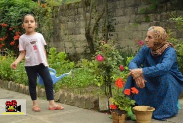 حمیدرضا قطبی