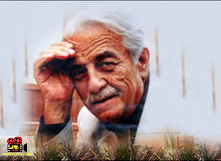مجری