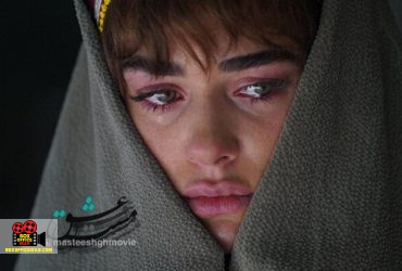 تهیهکننده