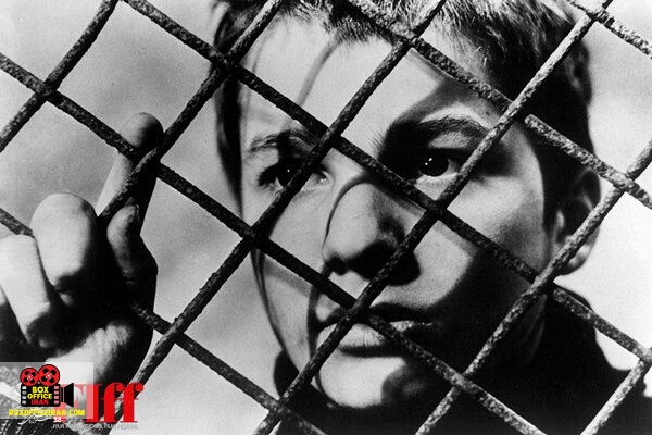 جشنواره جهانی فیلم فجر