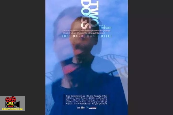 نوید محمدزاده