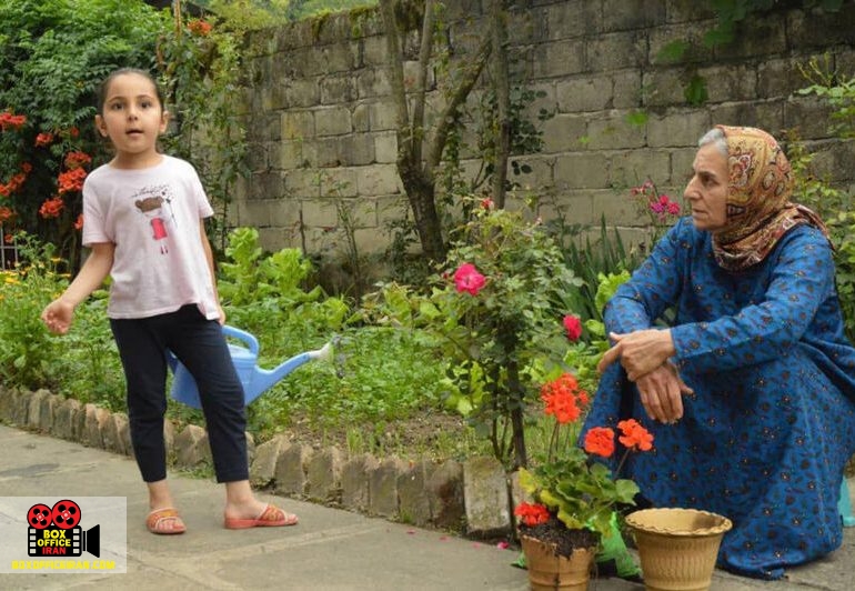 حمیدرضا قطبی