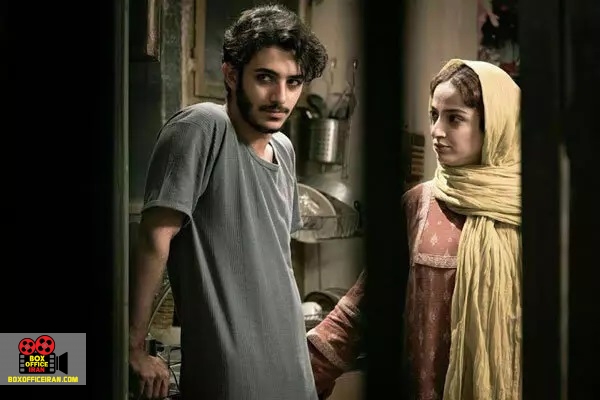 نوید محمودی