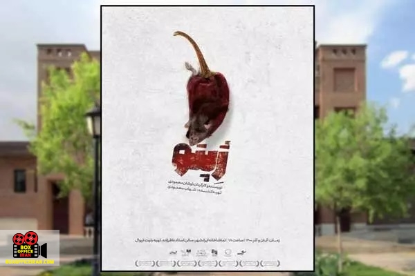 اوشان محمودی