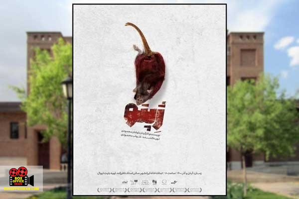 اوشان محمودی